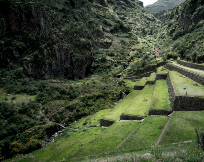 The lush green steps of the fort ruins at Pisac, Peru - GapGuru