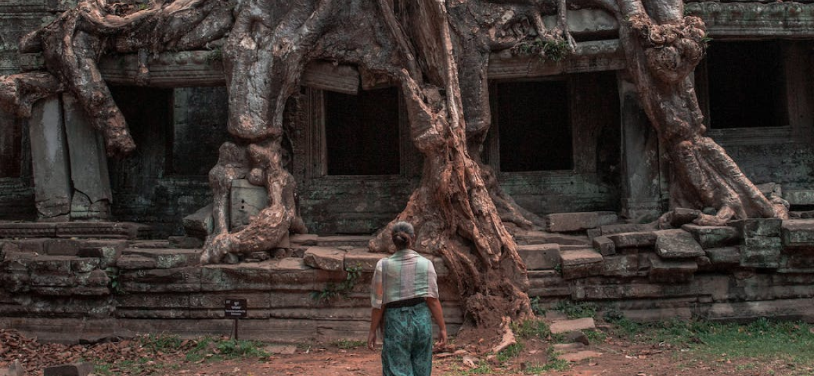 Cambodian temple with an ancient tree growing through it - GapGuru