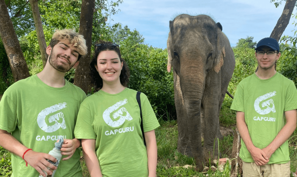 volunteers with an elephant