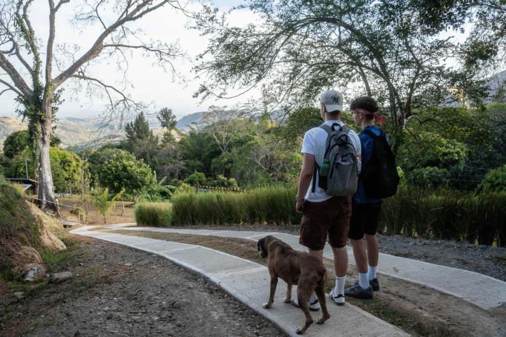 Gap year after a-levels