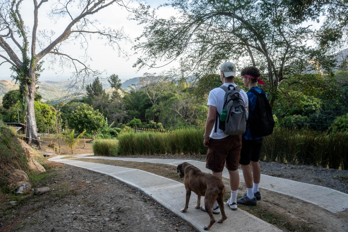 Gap year after a-levels