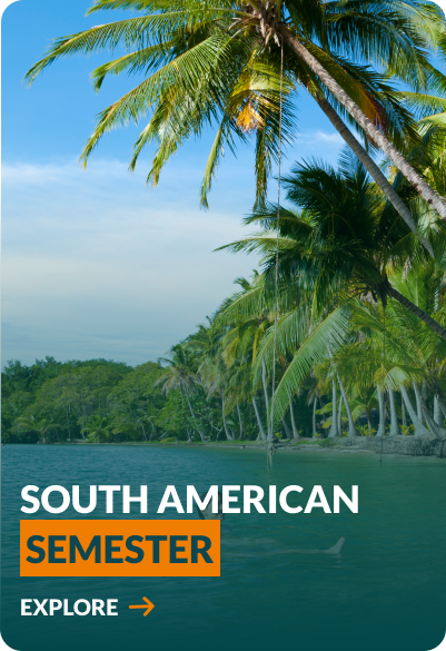 South American Semester