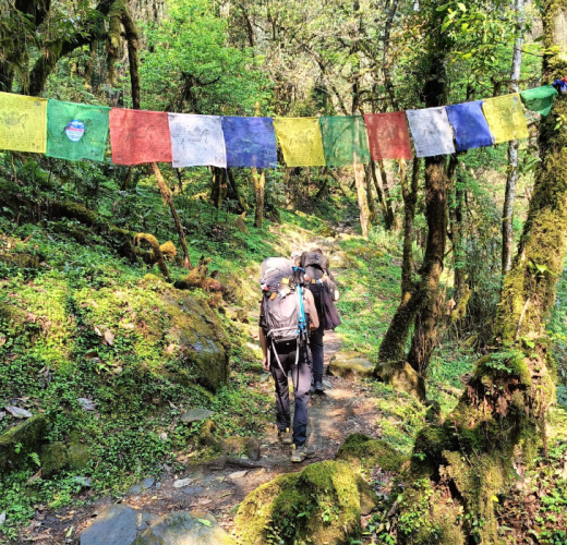 Poon Hill Trek
